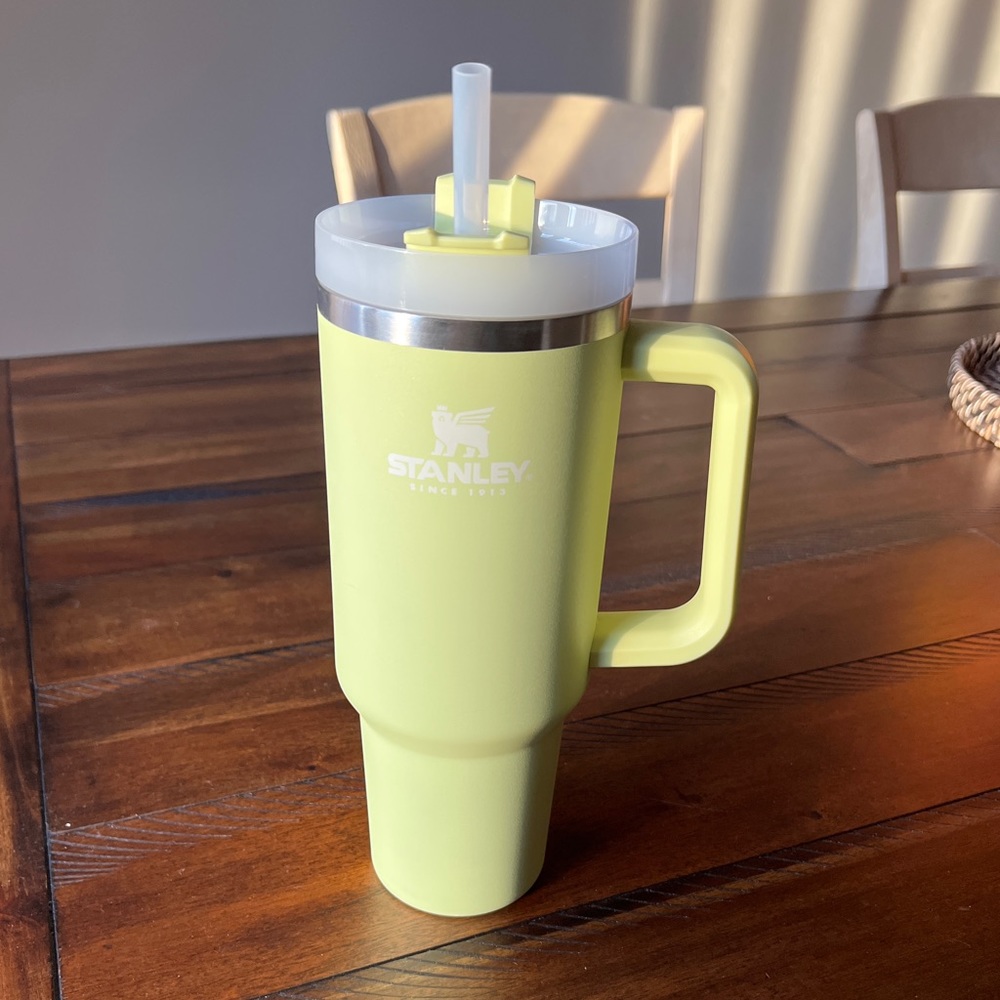 Adventure Quencher Travel Tumbler | 40 OZ × 1
Citron